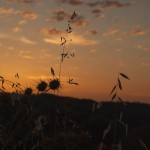 対人恐怖症の高卒ニートはどんな就職活動をすればいいのか?